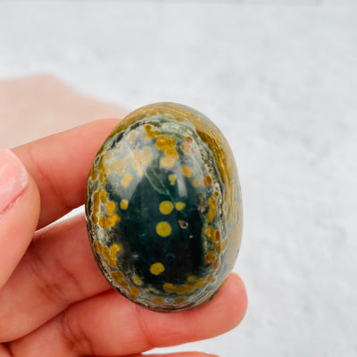 close of the details on this ocean jasper palm stone