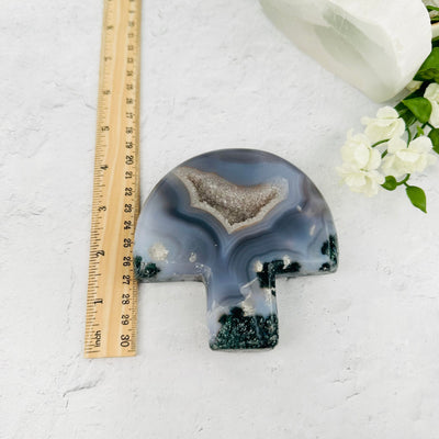 Agate Druzy Wildlife Set - YOU GET ALL - with ruler for size reference 