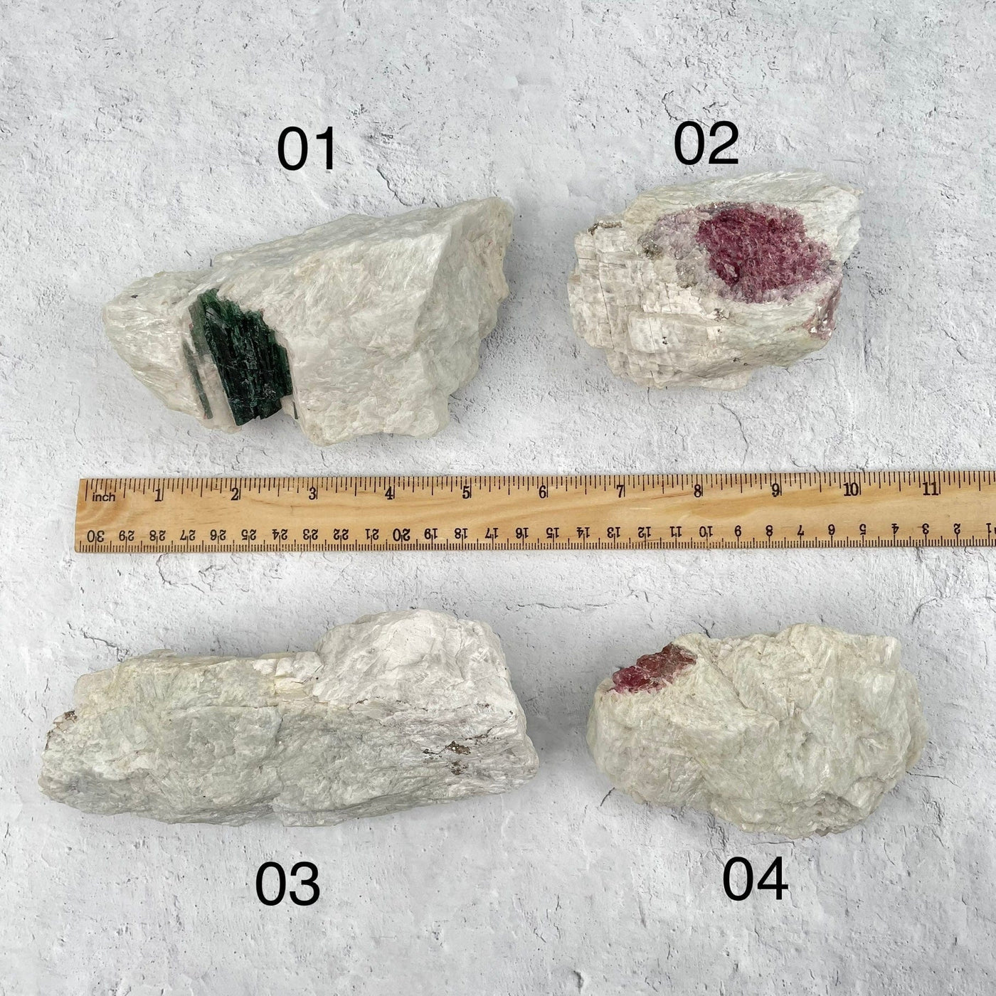 clusters next to a ruler for size reference 