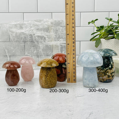 Gemstone Mushrooms - You Choose Weight and Stone - next to a ruler for size reference 