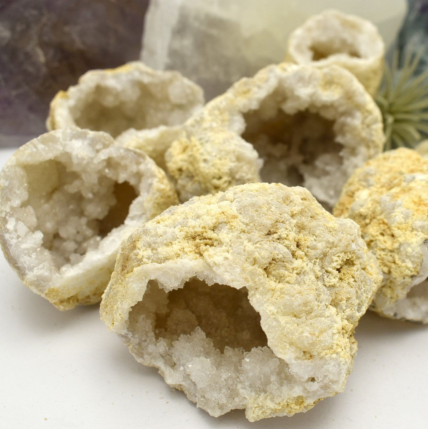 up close shot of 6 White Druzy Geodes