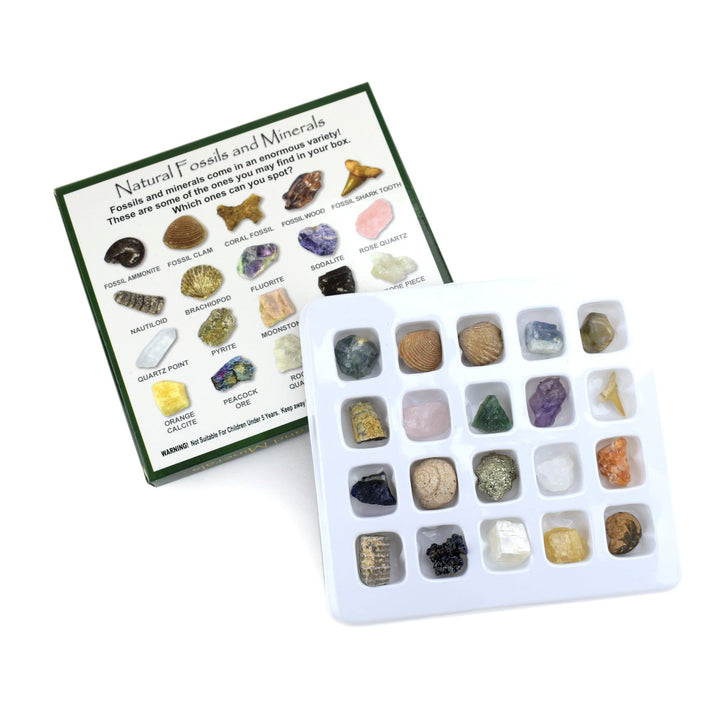 【新品】the fovari THE MINERAL EDITIION Fossil and Mineral Set - Mini Natural Stone Collection