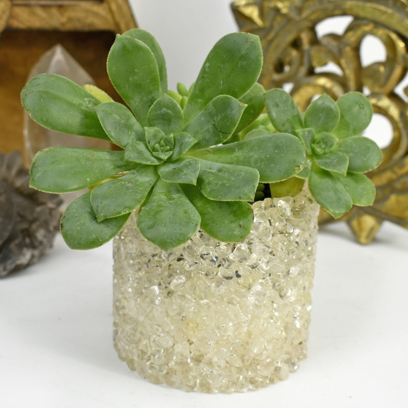 A crystal Tumbled Stone Pot Holder with a green plant on it 