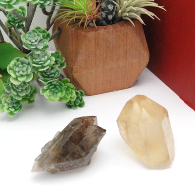 two smokey quartz points in front of backdrop