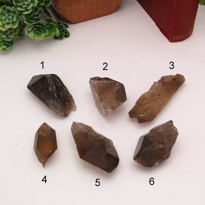 overhead view of all six smokey quartz point options on white background