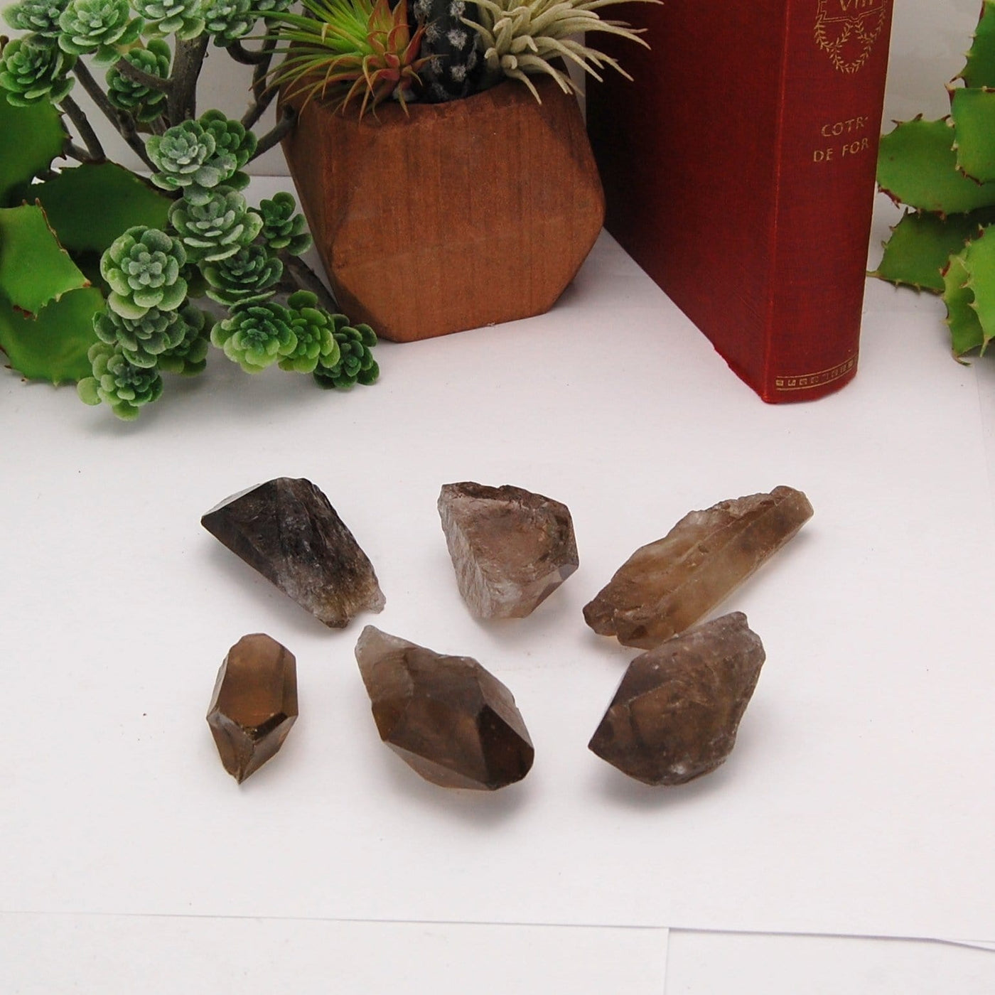 all six smokey quartz point options on display in front of backdrop