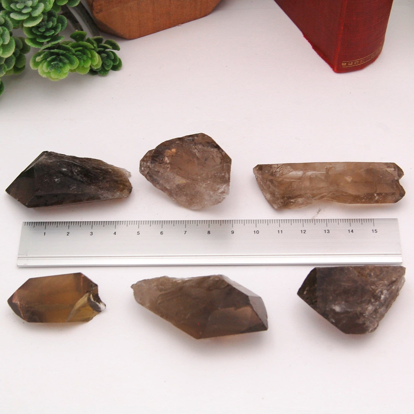 all six smokey quartz point options on white background with ruler for size reference