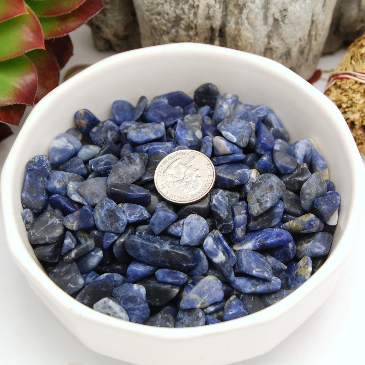 tumbled sodalite small stones next to a quarter for size reference 