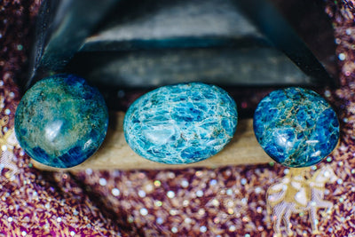 Close up of three blueish green apatite stones on a wooden stick