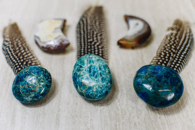 three blueish green apatite stones with brown and white spotted feathers for decoration on a light wood background