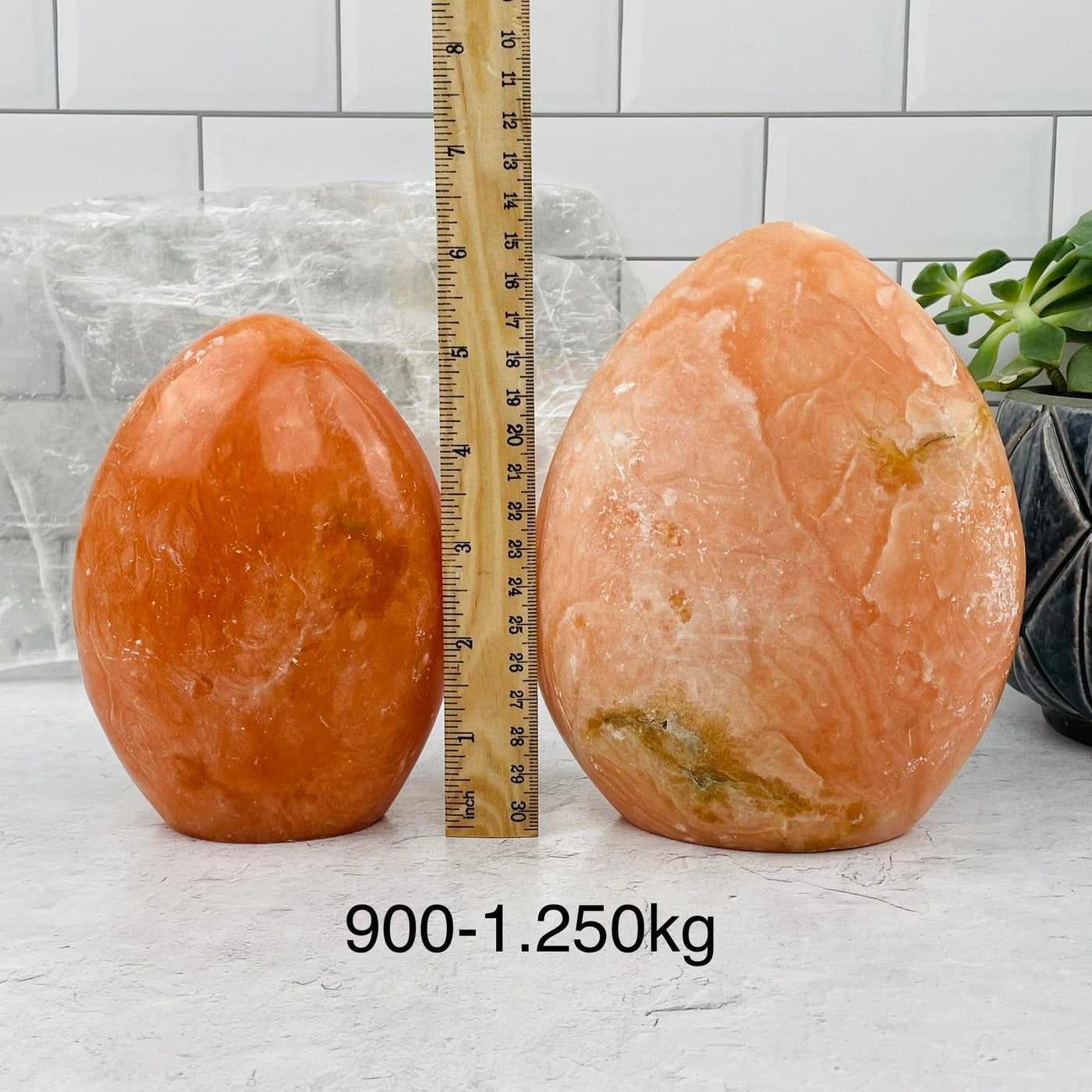 Peach Aventurine Cut Base sold by weight. displayed next to a ruler for size reference