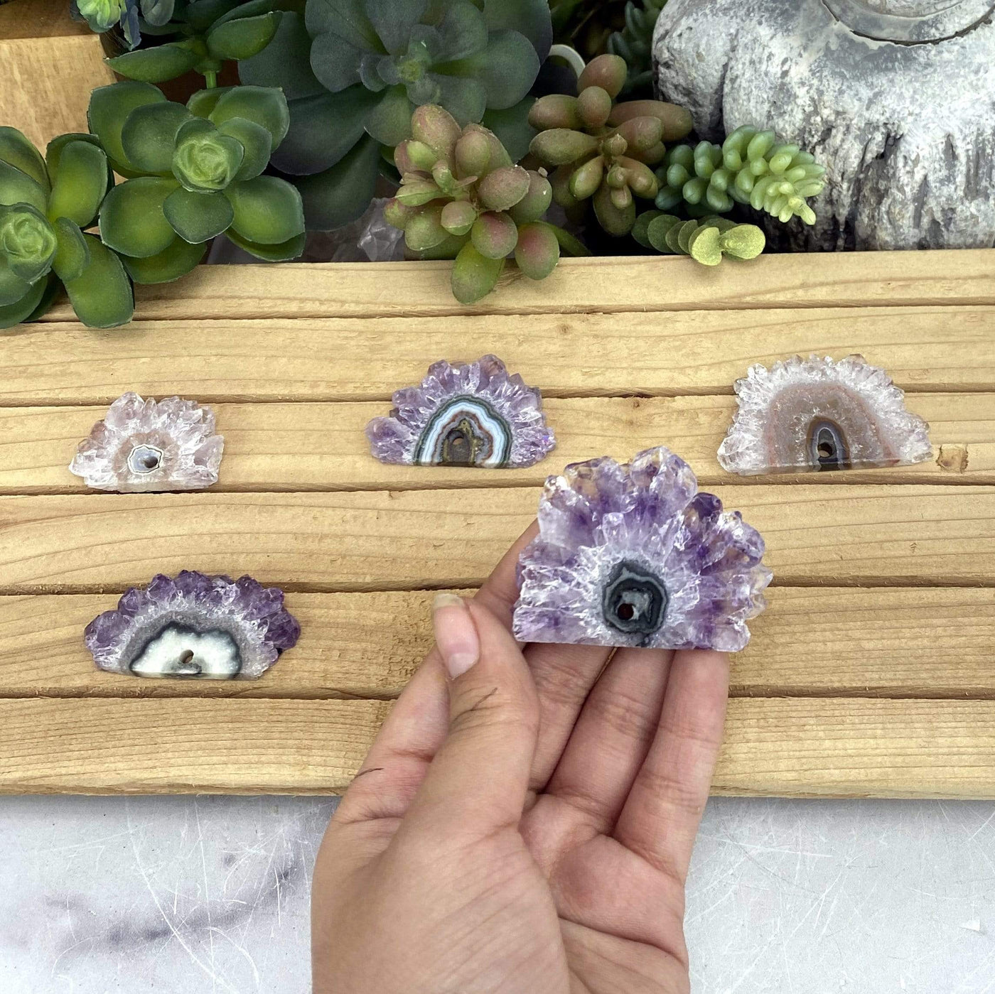 Amethyst Stalactite Slices - Single Drill Hole with #5 in a hand for size reference