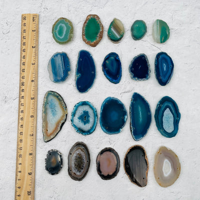 agate slices next to a ruler for size reference 