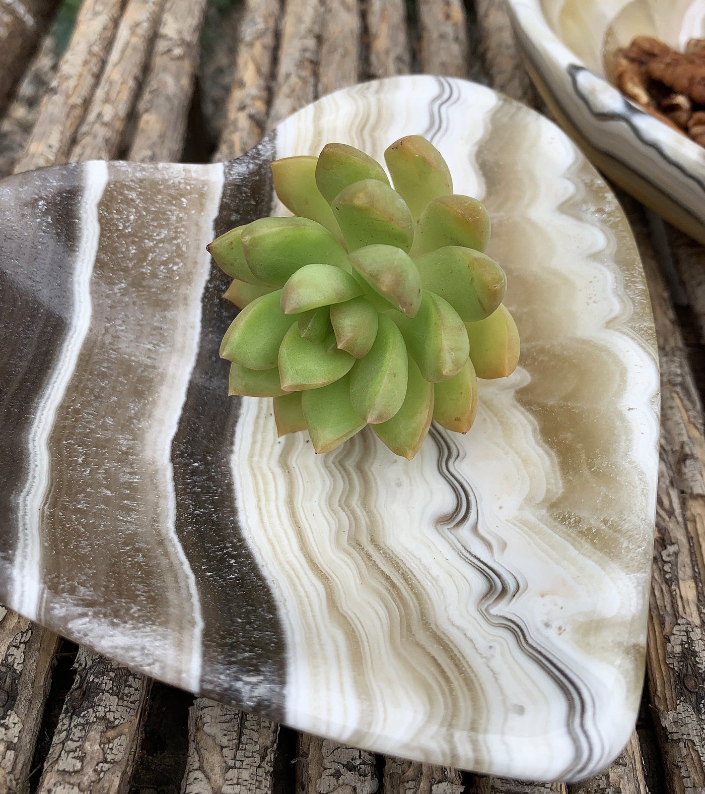 close up of mexican onyx heart bowl with a plant in it for decoration.