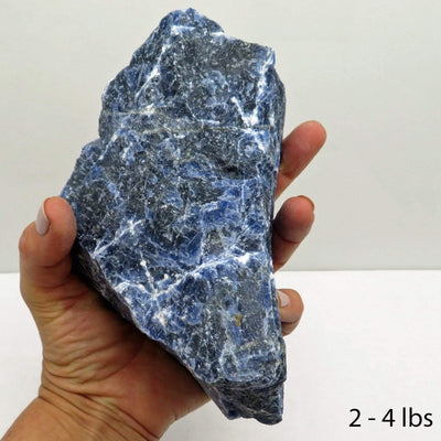 one 2lb - 4lb sodalite rough stone in hand on white background for size reference