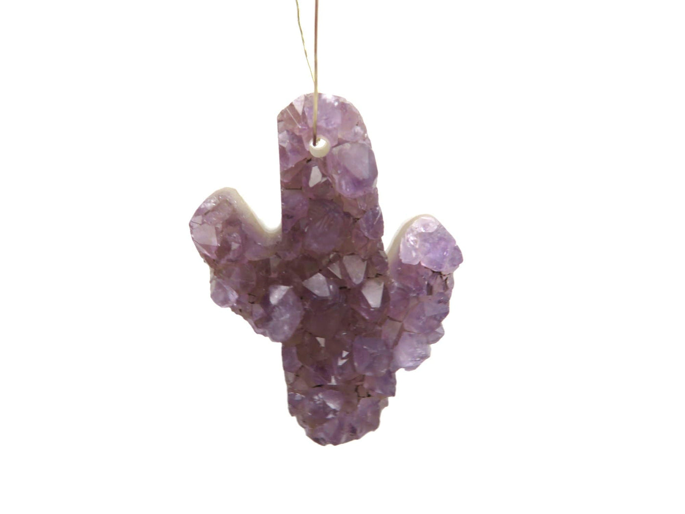 Single amethyst cactus displayed on a white background. 