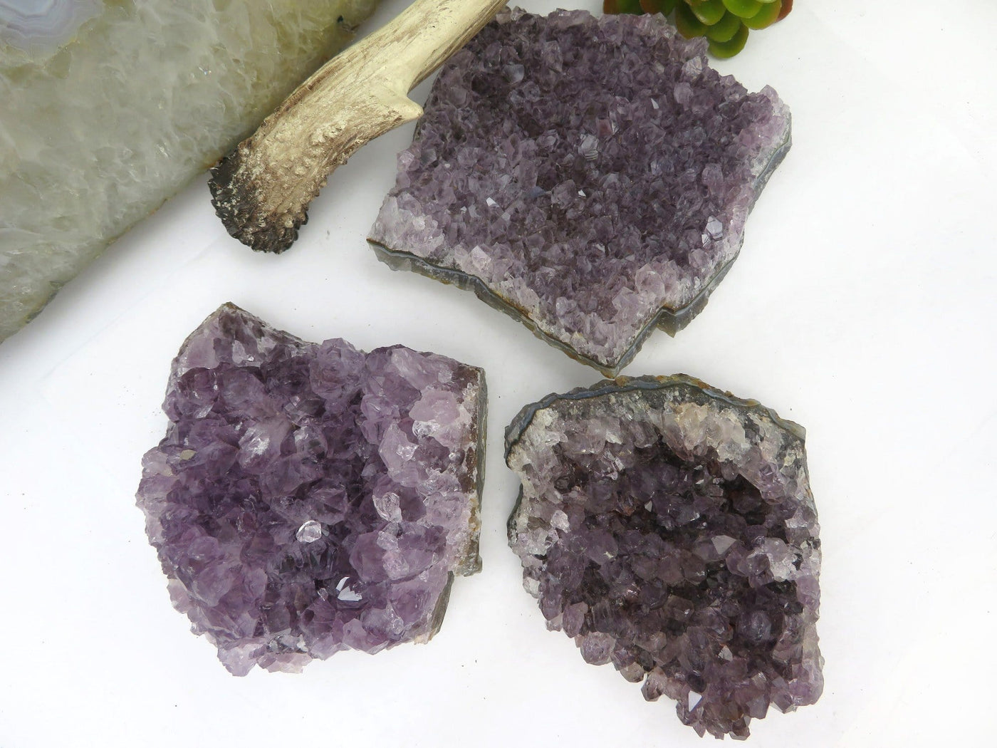amethyst clusters displayed to show the differences in the purple shades 