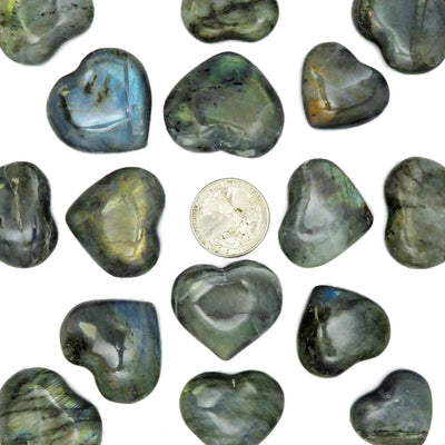 Labradorite Hearts next to quarter for size comaprison