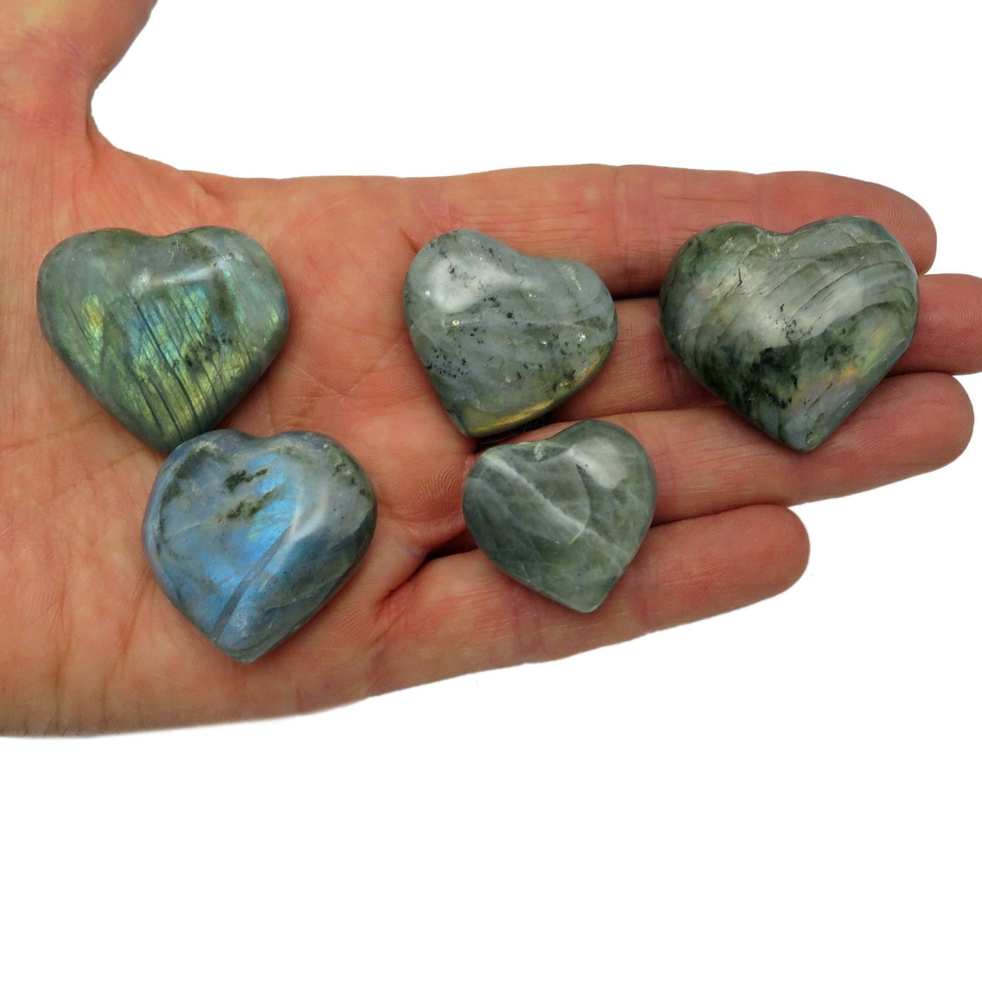 Labradorite Hearts on hand for size comparison