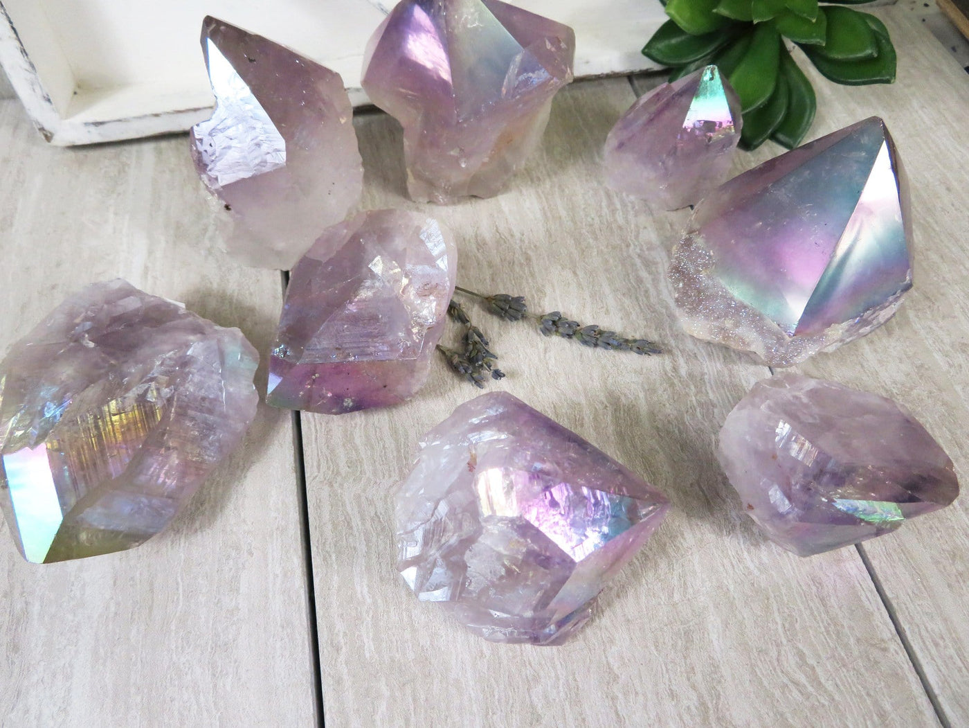 8 Angel Aura Titanium Semi Polished Points looking down from above