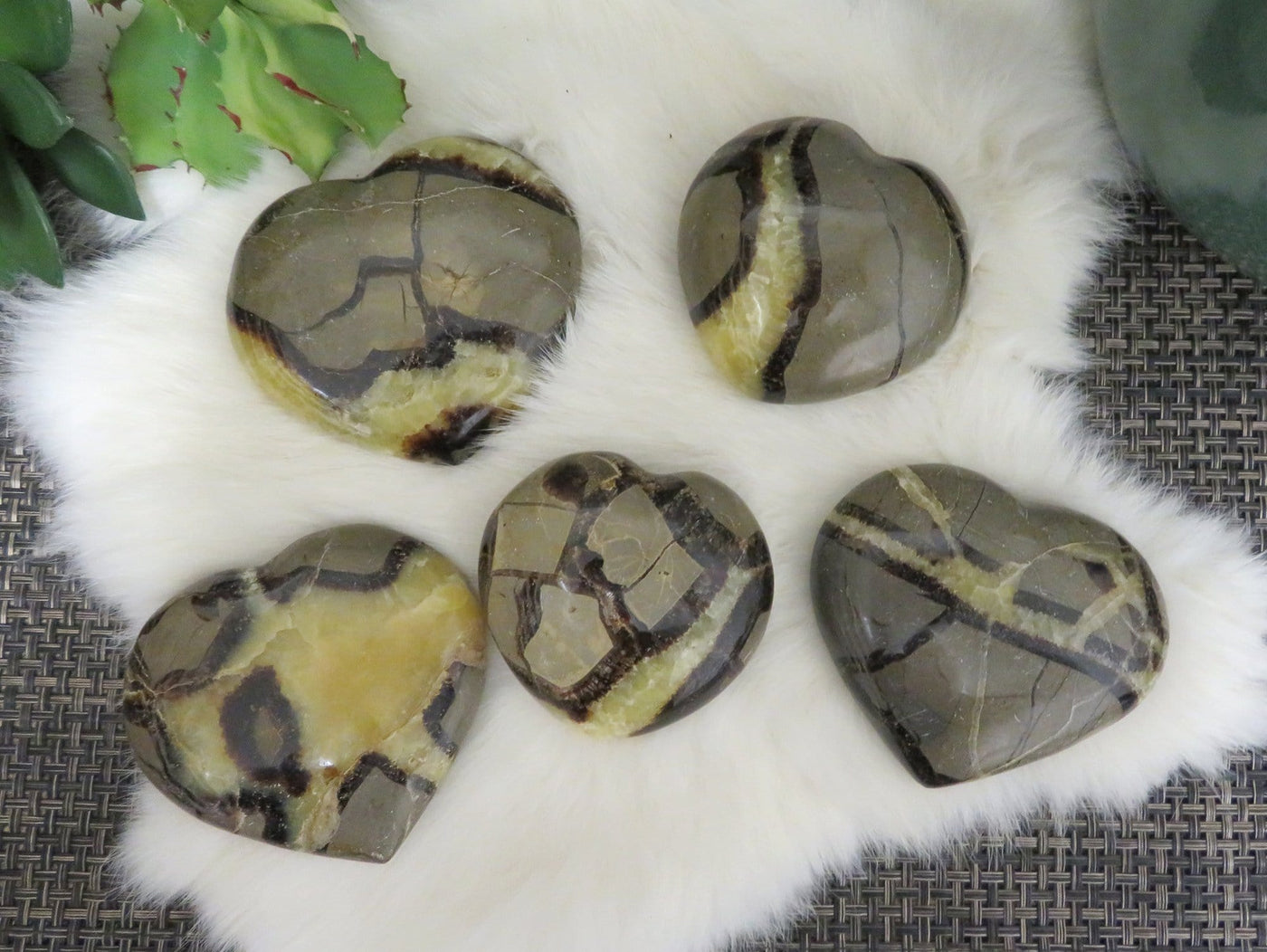 overhead view of five septarian polished heart stones on display for possible variations
