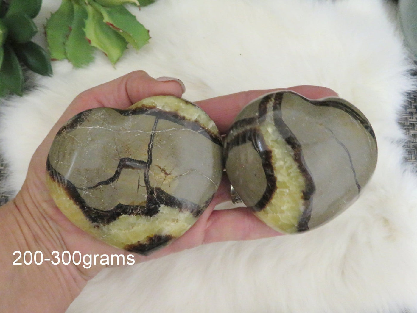 two 200-300g septarian polished heart stones in hand for approximate size reference