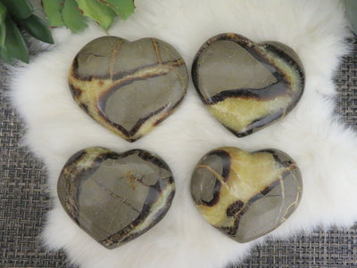 overhead view of four septarian polished heart shaped stones on display for possible variations
