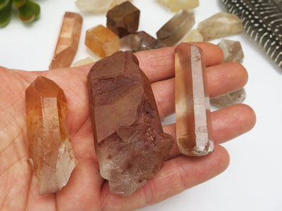 3 pieces of Tangerine quartz points held on a hand 