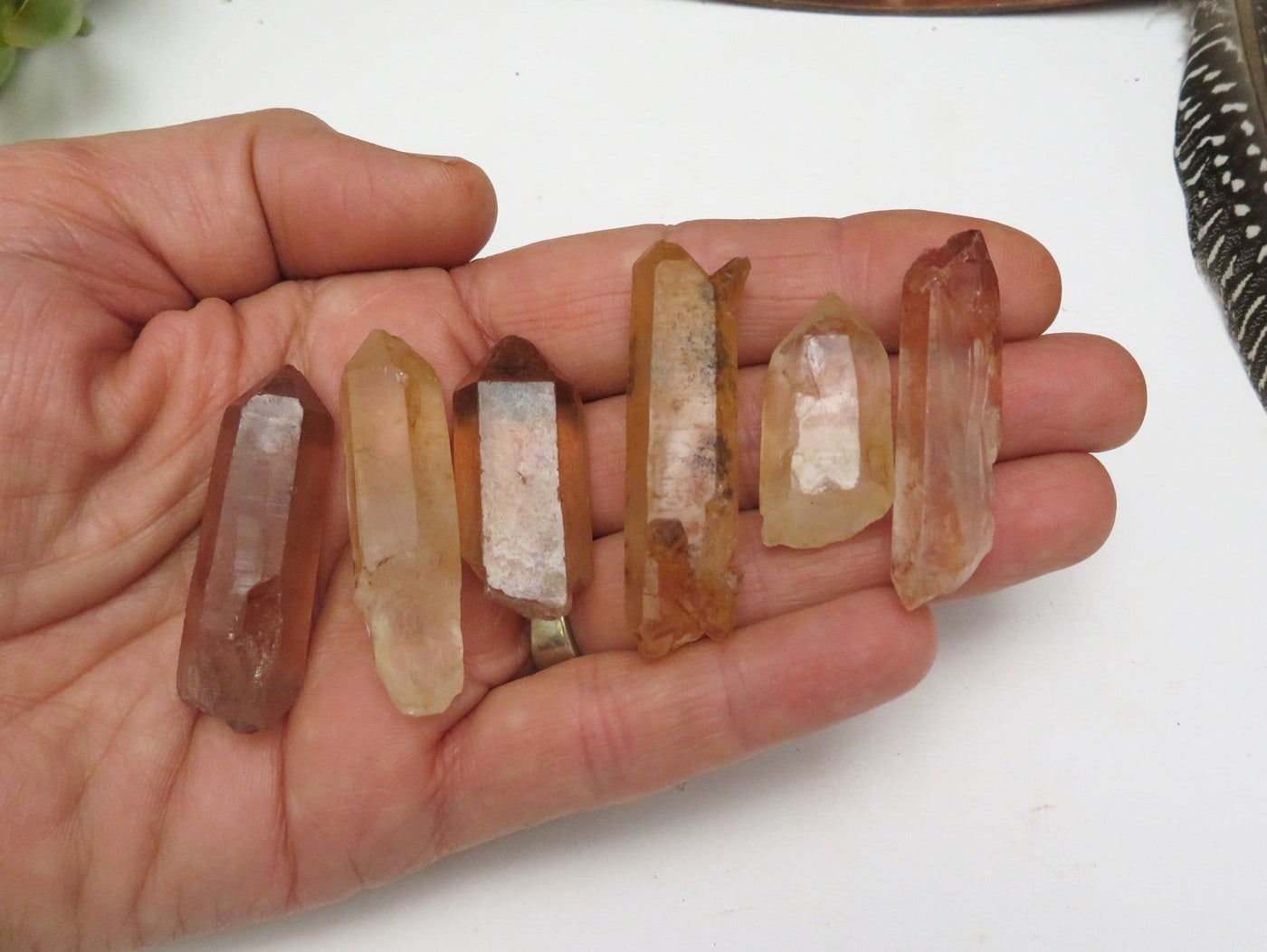 6 pieces of Tangerine quartz points held on a hand