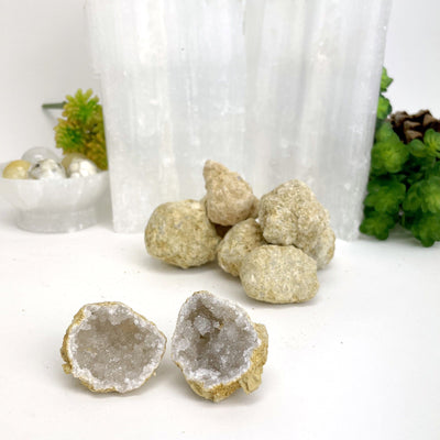 white geodes in a pile and one open