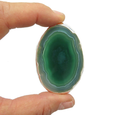 This picture is showing one of our green agate slices being held for size reference. 