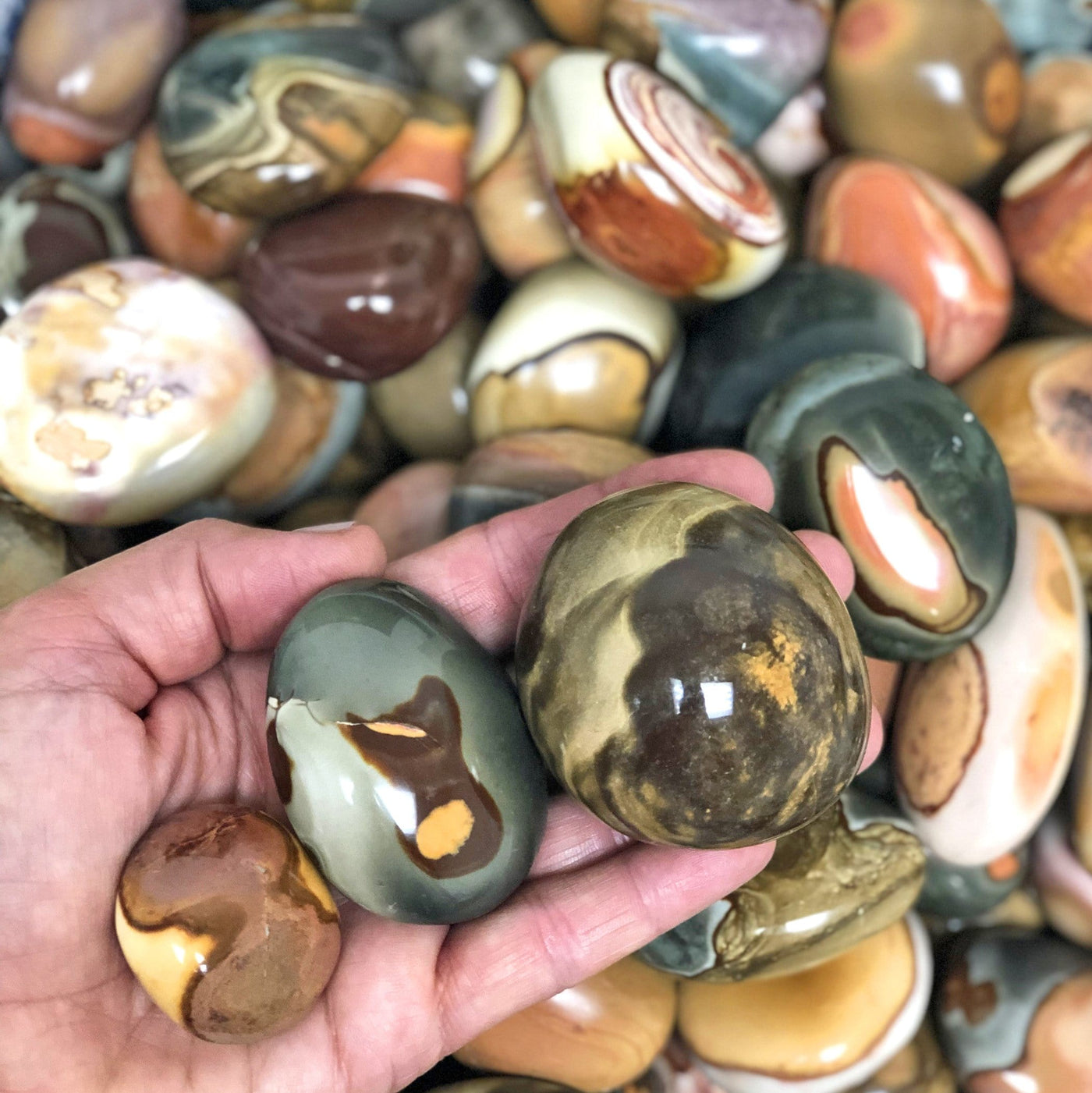 hand holding up 4 polished polychrome jasper with more in the background