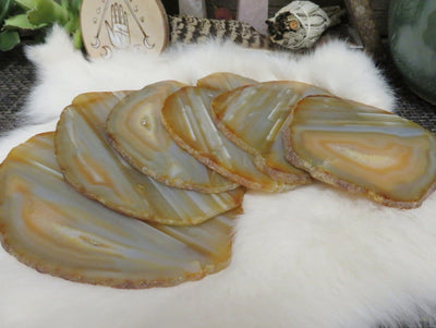 Natural Agate Slices - 6 fanned out on a table