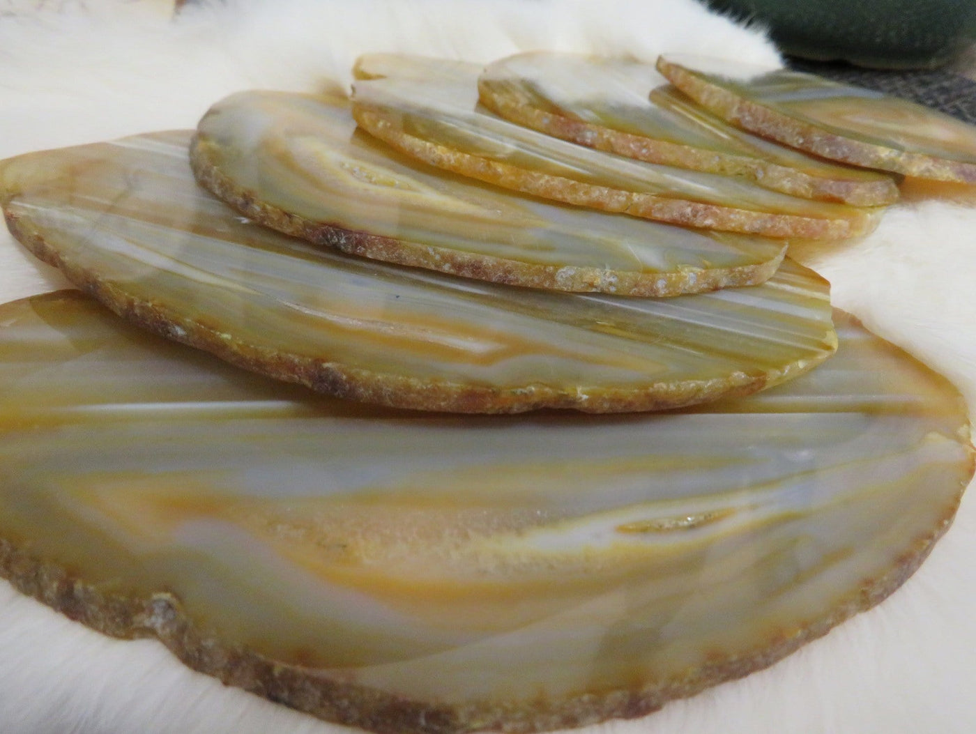 Natural Agate Slices - fanned out close up