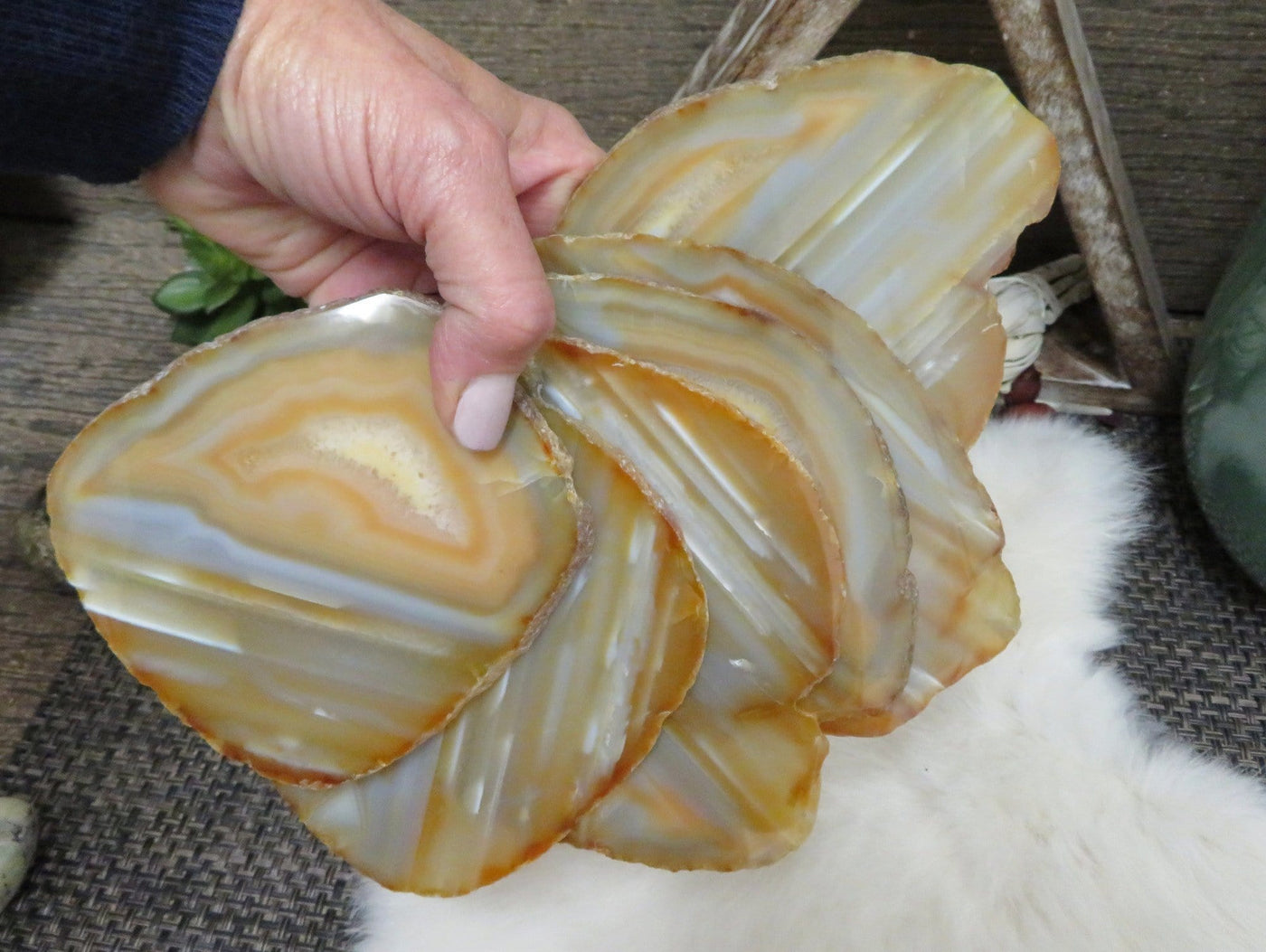 Natural Agate Slices - 6 from one stone in a hand