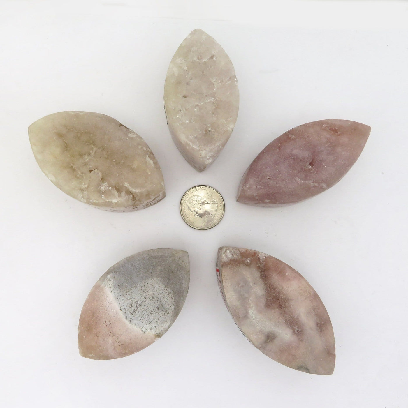 5 Pink Amethyst Polished Marquise Stone Shapes surrounding a quarter for size reference