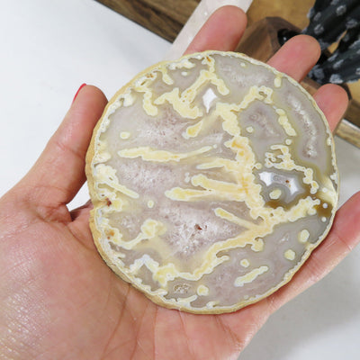 One agate slice held in a woman's hand.
