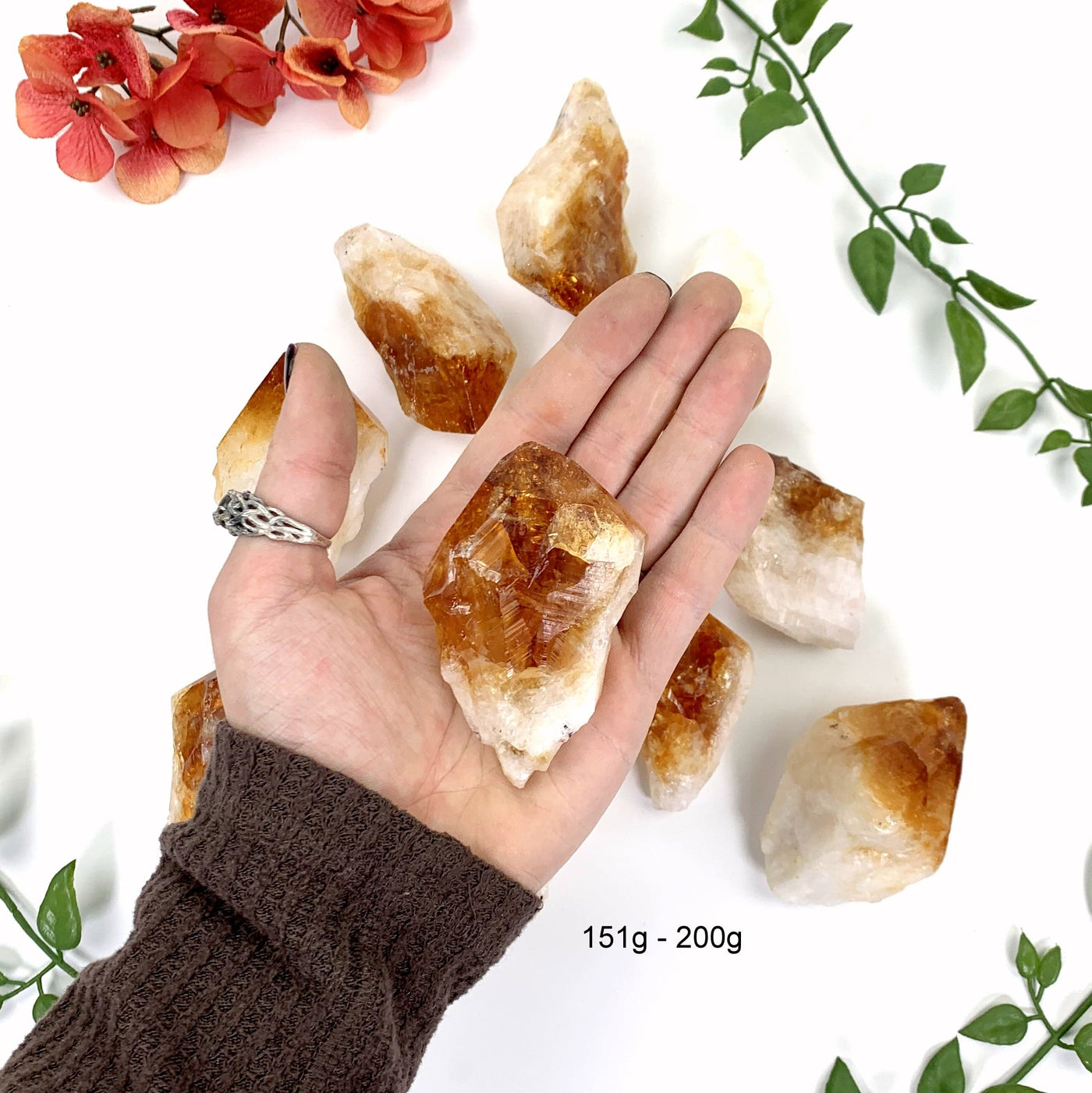 High Grade Citrine Points - showing different sizes in a hand