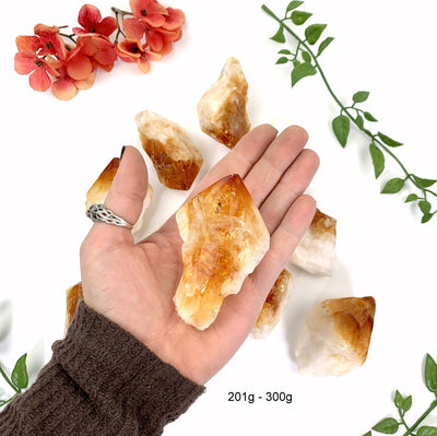 High Grade Citrine Points - in a hand