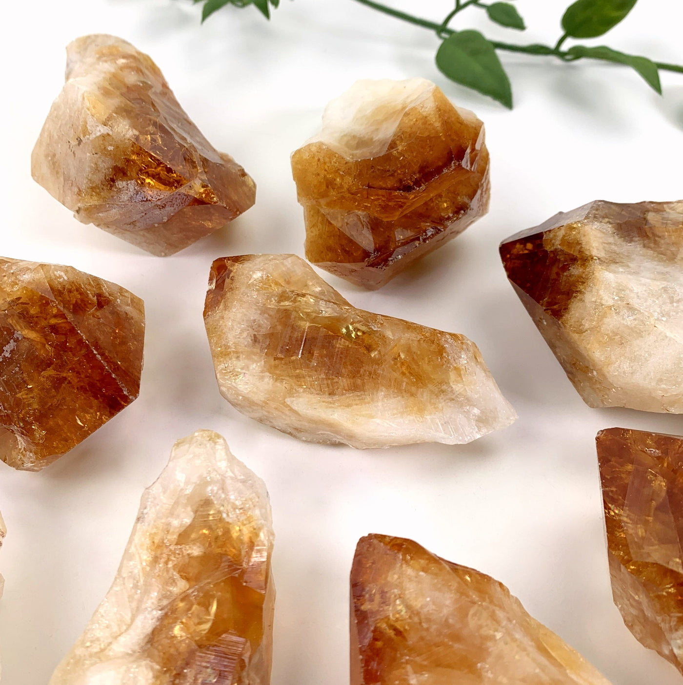 High Grade Citrine Points - 8 scattered and close up