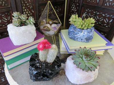4 Rough Stone Planters of different crystals with succulents in them on top of books