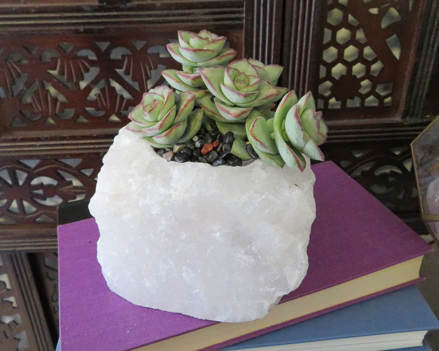 Rough Stone Planter with succulents on top of books