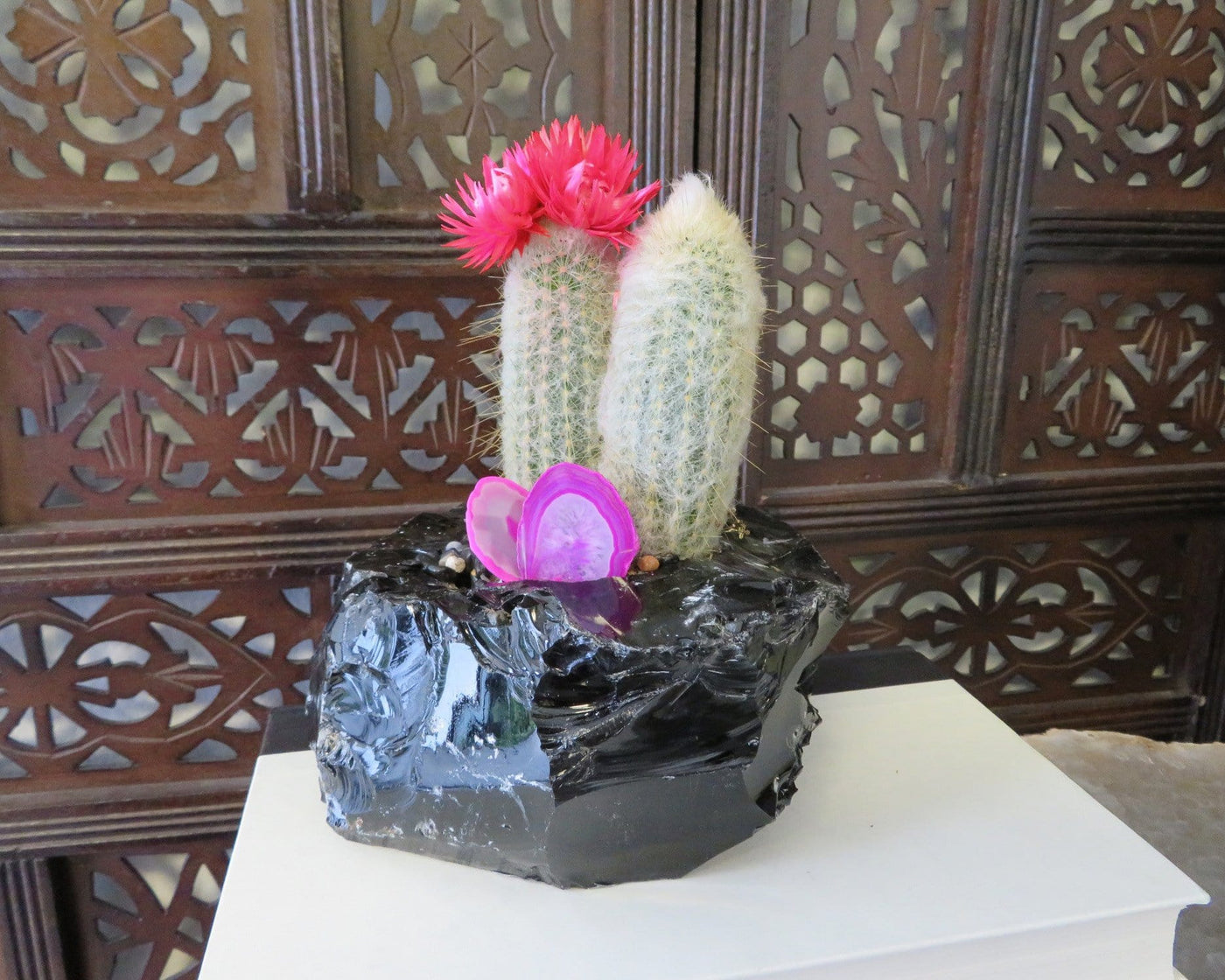 Rough Stone Planter with cacti and agate slices inside on top of books