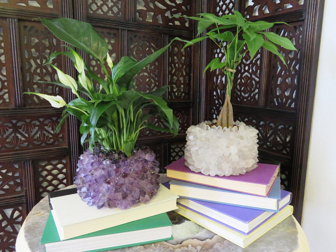 crystals in plant pots Crystal Point Planter