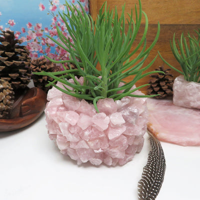 Rose Quartz Planter Pot with succulent in it with various decorations in the background