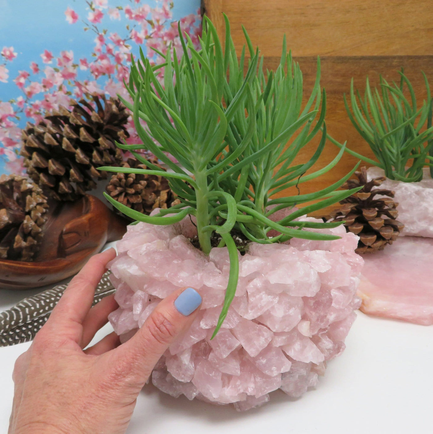 Hand holding Rose Quartz Planter Pot with succulent in it with various decorations in the background