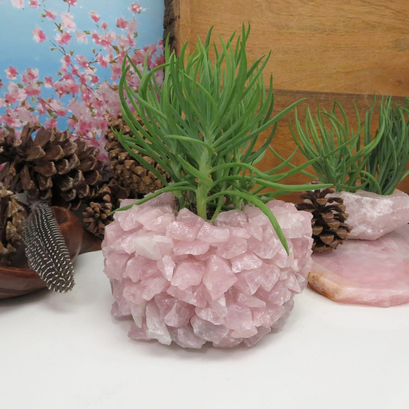 Rose Quartz Planter Pot with succulent in it with various decorations in the background