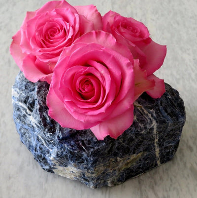 close up of one sodalite planter with three roses inside on a plain background