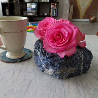 one sodalite planter with three roses inside on a table with a teacup in a home setting