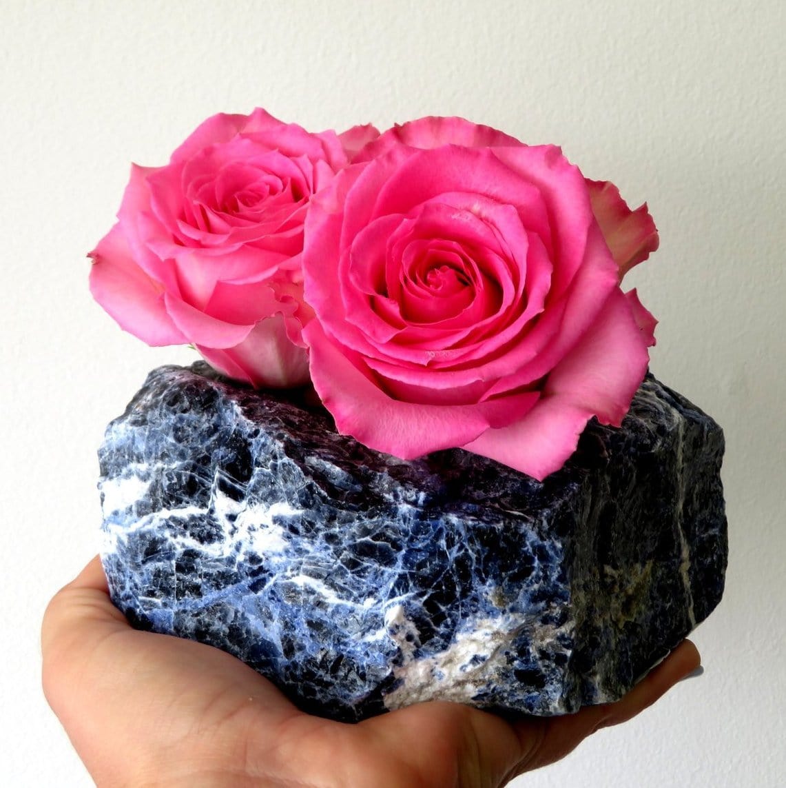 one sodalite planter with roses in hand on plain background for size reference